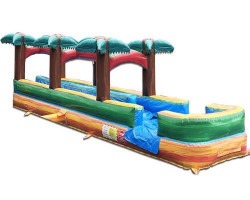 Slip and Slide - Dual Lane Palm Tree