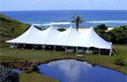 40 x 100 White Pole Tent